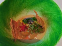 -九献创意菜·牛排馆(亮马河花园店)