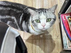 -百金通黄金回收首饰定制维修(珠江路总部)