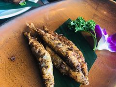 -蟹之国·精品蟹料理(极地店)