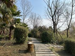 -桤木河湿地公园