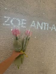 -紫御国际抗衰ZOE ANTI AGING