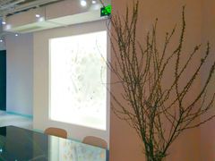 -CAFE'IN精品咖啡体验空间(小寨店)