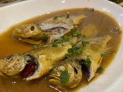 小黄鱼-温岭人家(红花北路店)