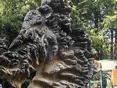 -山王坪喀斯特国家生态公园