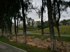 -宝安西湾红树林湿地公园