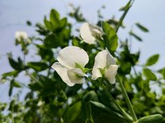 -楠溪江风景名胜区