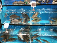 -盒马鲜生(曜一城店)