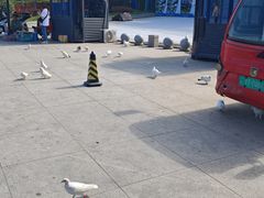 -海河外滩公园
