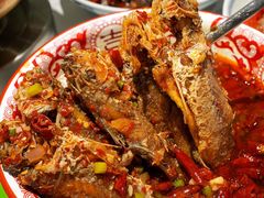 -欧记大排档·景德菜(上海首店)
