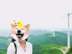 -道林古镇