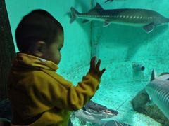 -太平洋海底世界