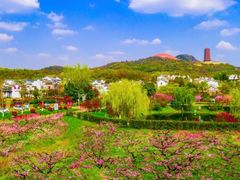 -牛首山文化旅游区