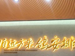 -鼎原力量东北吊炉烧烤(临河街店)