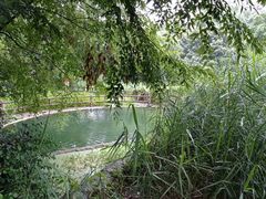 -成都市活水公园