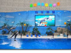 -泉城欧乐堡海洋极地世界