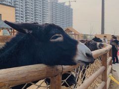 -太原动物园