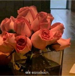 -HEYAN荷妍专业脱毛连锁机构