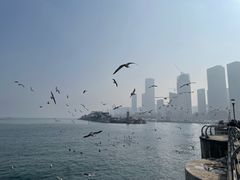 -东港音乐喷泉广场