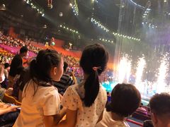 -广州长隆国际大马戏