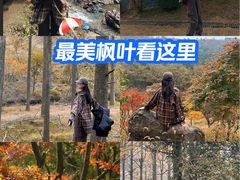 -四明山国家森林公园