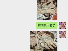 -地球美食剧场