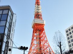 -东京塔海贼王主题公园