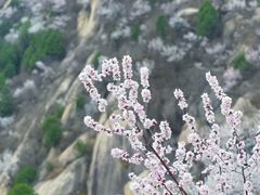 -北京凤凰岭