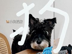 -SorSod 咖啡&食堂