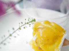 -杭州西子湖四季酒店-WL BISTRO西湖餐厅(灵隐路店)