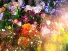 -卓花境Flowerwonderland花店