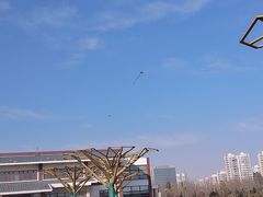 -绿岛公园(滨海新区)