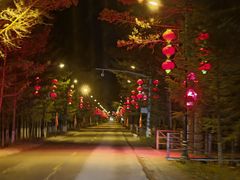 -北极村旅游风景区