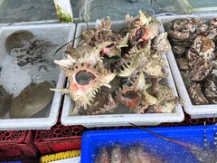 -拉威海鲜市场