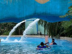 -重庆海昌加勒比海水世界