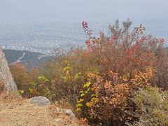 -府君山公园