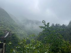 -娄山关景区
