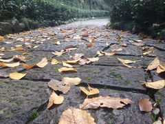 -宁海森林温泉