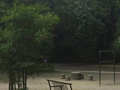 -望江楼公园