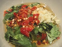 -九寨特色牦牛肉汤锅 羊肉汤锅