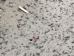 -北海金海湾红树林生态旅游区