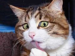 -比格比萨自助(南京万达茂店)