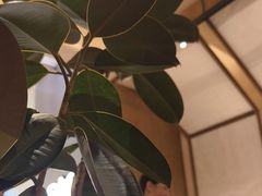 -CURRY YA 熟成咖哩專門店(深圳湾万象城店)