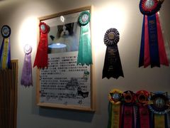 -猫十亿·布偶金渐层·曼基康矮脚猫舍(青年路店)