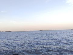 -上海吴淞炮台湾国家湿地公园
