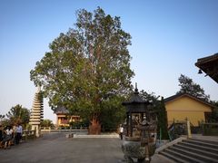 -博鳌禅寺