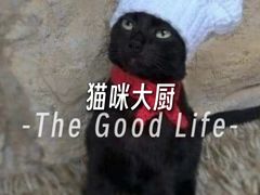 -柏萃动物医院·骨科·牙科