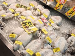 -南纪白浜Toretore市场