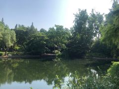 -上海滨江森林公园