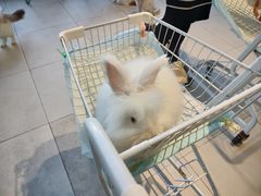 -怪兽屋·羊驼·猫咖·狗咖(俊华广场店)