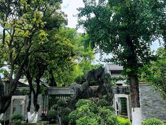 -碧江金楼